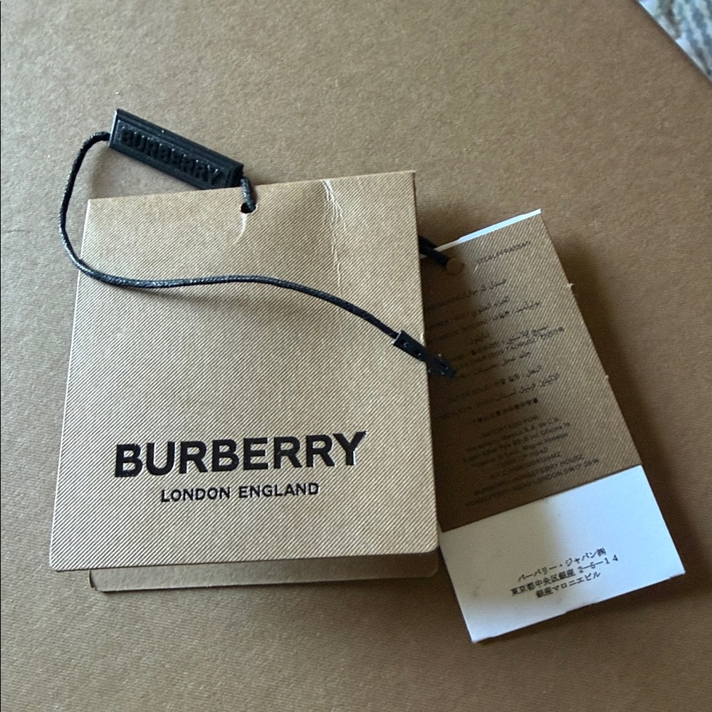 Burberry Clintonville Thong Sandals NWT MENS SZ 41 3D Icon Stripe Sandals IN BOX - Picture 11 of 11
